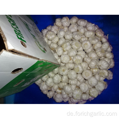 Frischer reiner weißer Knoblauch New Crop 2019